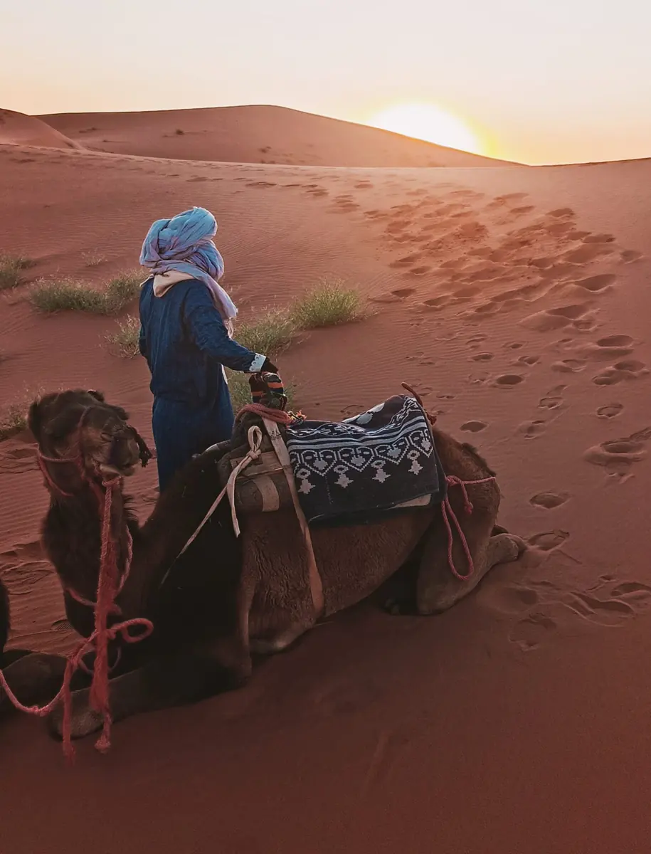 Guide du désert et son dromadaire au lever du soleil
